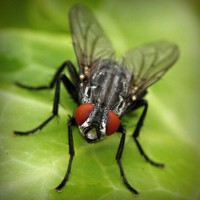 /album/minden-ami-nextworld2/photolia-a01-jpg/