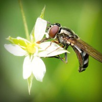 /album/minden-ami-nextworld2/photolia-a02-jpg/