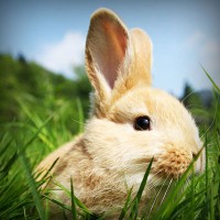 /album/minden-ami-nextworld2/photolia-a03-jpg/