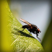 /album/minden-ami-nextworld2/photolia-a04-jpg/