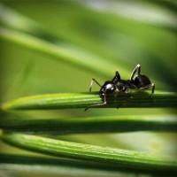 /album/minden-ami-nextworld2/photolia-a05-jpg/