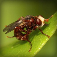 /album/minden-ami-nextworld2/photolia-a06-jpg/