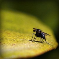 /album/minden-ami-nextworld2/photolia-a07-jpg/